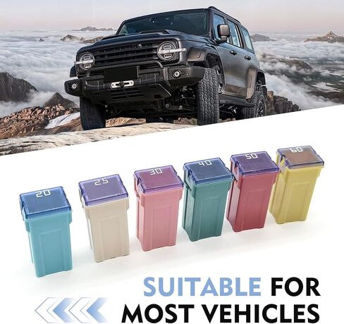 6 PCS Car Fuse Combination Set, 20A 25A 30A 40A 50A 60A Fuses Automotive Kit, 1.06" x 0.47" x 0.39" Square Blade Fuse Replacement, Universal for Cars (Multicolored) in Saudi Arabia