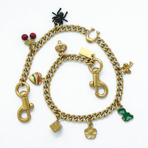 Bag Chain Charm for Handbag, Vintage Bag Chain Charm Extender for Handbag, Purse & Jeans in Kuwait