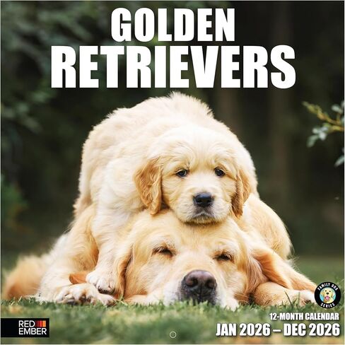 RED EMBER Corgi Puppies 2026 Wall Calendar 12 Month | 12" x 24" Open | Thick & Sturdy Paper | Holiday Gift | Cute Puppy Dog Calendar 2026 in Saudi Arabia