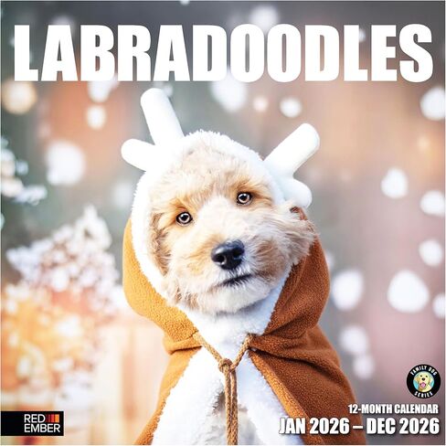 RED EMBER Corgi Puppies 2026 Wall Calendar 12 Month | 12" x 24" Open | Thick & Sturdy Paper | Holiday Gift | Cute Puppy Dog Calendar 2026 in Saudi Arabia