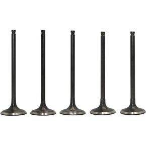 HWKWAZ Intake Exhaust Valve Kit Compatible with Yamaha YFZ450R 2009-2020 YFZ450 2004-2009 2017 YZ450F 2003-2009 WR450F 2003-2015 YFZ450 SE Special Edition 2005-2008