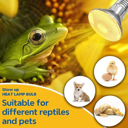 GlowUp 50W Reptile Heat Lamp Bulb,E26 Dimmable Basking Bulb,PAR20 Heat Bulb for Reptiles,2700K Warm White Tortoise Heat Bulb for Lizards Snakes Bearded Dragon Aquarium-2Pack in Saudi Arabia