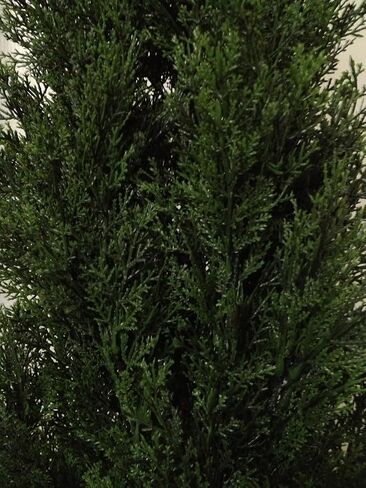 Pre-Potted 5' Artificial Cedar Topiary Outdoor Indoor Tree (Pack of 2) in Saudi Arabia