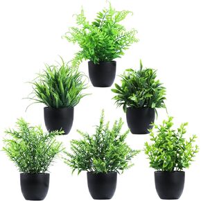 نباتات وهمية 6 عبوات نباتات صناعية صغيرة نباتات صناعية سوداء ملحقات الحمام للحمام المنزل المطبخ طاولة القهوة مكتب ديكور داخلي (أسود) in Kuwait