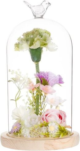 BENECREAT 4.8x9.0inch Glass Display Dome Cloche with Bird Top Handle, Everlasting Flower Glass Cover with Wooden Base for Specimens Plants DIY Decor in Saudi Arabia