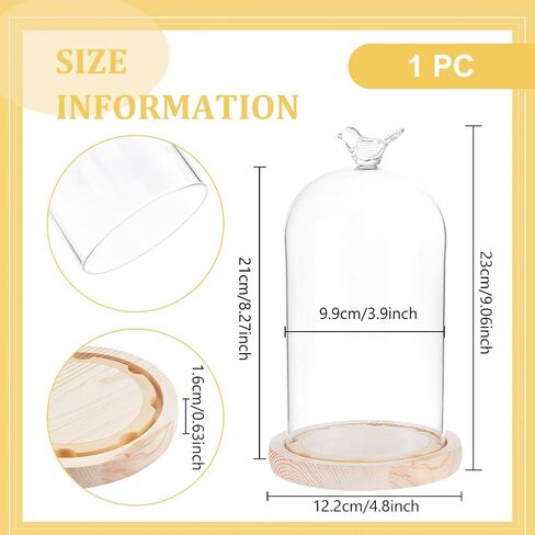 BENECREAT 4.8x9.0inch Glass Display Dome Cloche with Bird Top Handle, Everlasting Flower Glass Cover with Wooden Base for Specimens Plants DIY Decor in Saudi Arabia