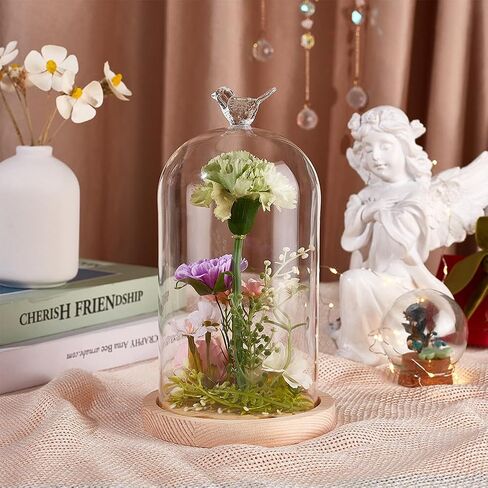BENECREAT 4.8x9.0inch Glass Display Dome Cloche with Bird Top Handle, Everlasting Flower Glass Cover with Wooden Base for Specimens Plants DIY Decor in Saudi Arabia