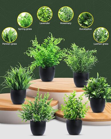 نباتات وهمية 6 عبوات نباتات صناعية صغيرة نباتات صناعية سوداء ملحقات الحمام للحمام المنزل المطبخ طاولة القهوة مكتب ديكور داخلي (أسود) in Kuwait