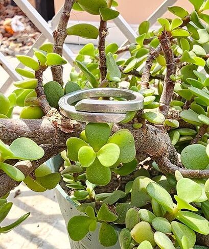 Ranga Ring for Astrological Remedies, Weight Loss, BP Management, Adjustable in Saudi Arabia