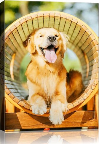 Custom Canvas Prints with Your Photos - Personalized Pictures Print, Wall Art Poster Customized Prints Photo Gifts, Canvas Printing for Wedding, Family, Baby, Pets, Home Office Decor (Framed, 14x11) in Saudi Arabia