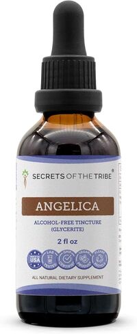 Secrets of the Tribe Angelica Tincture Alcohol-Free Liquid Extract, Angelica (Angelica archangelica) Dried Root (2 FL OZ) in Kuwait