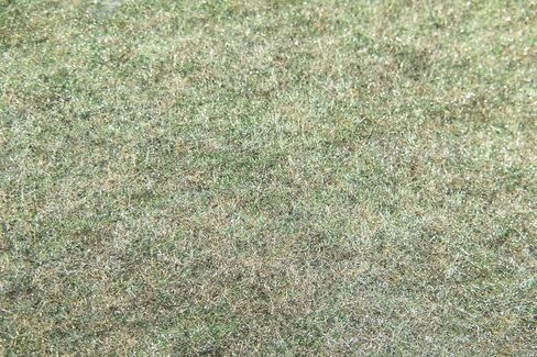 Automotive Jute Carpet Padding 20 oz 36" Wide by The Yard goes Under Carpet in Cars and Trucks in Kuwait