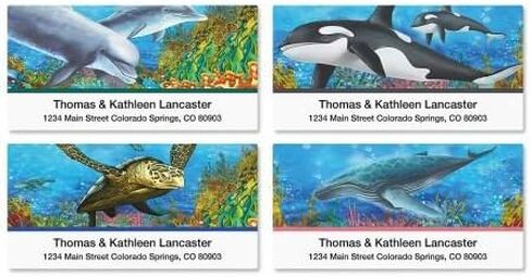 Under the sea Personalized Return Address Labels- Set of 144, Large Self-Adhesive, Flat-Sheet Labels (4 Designs) By Colorful Images in Saudi Arabia