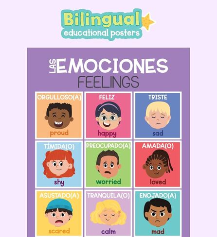 Bilingual Educational Posters for Kids – 12 Spanish & English Classroom Wall Charts – Alphabet Numbers Shapes Colors Feelings Weather Months Days – 11x17 Durable Learning Posters for Preschool in Saudi Arabia