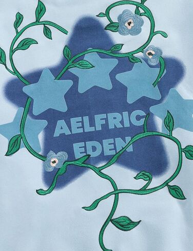 Aelfric Eden Floral Eden Star Pullover Hoodie Embroidery Graphic Hoodies Y2K Oversized Hooded Sweatshirt in Saudi Arabia