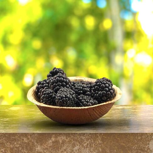 أوعية راج للاستعمال مرة واحدة من أوراق النخيل (100 عدد، 4 أوعية) وعاء قوي مثل وعاء حفلات الخيزران - أدوات مائدة مزخرفة قابلة للتحلل للغداء والعشاء وأعياد الميلاد والتخييم وفي الهواء الطلق والنزهة والحفلات in Kuwait