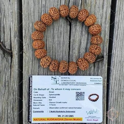7 سوار رودراكشا معتمد من مختبر موخي، سوار شيفا، يوجا، رودراكشا ذات سبعة وجوه، هدية لمحبي اليوغا in Saudi Arabia