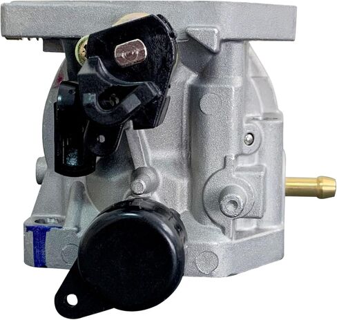 Ruixing OEM 16100-Z5R-U71 8302861 المكربن ​​لهوندا GX390 GX390R1 GX390RT1 GX390U1 GX390UT1 GX390R2 (BE89F B) 8302861 المحرك 16100-Z5R-U71 in Kuwait