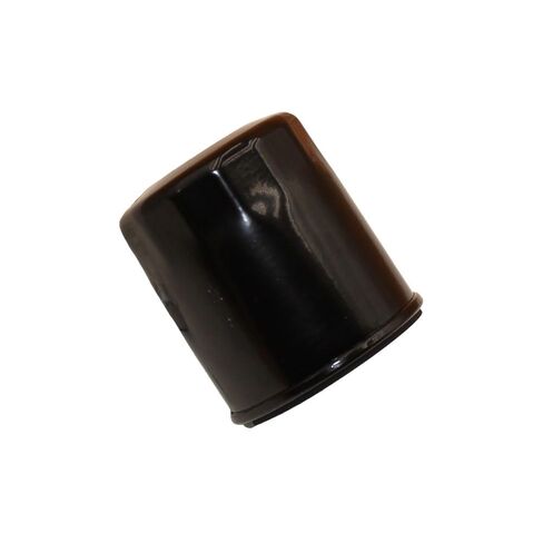 استبدال فلتر الزيت الجديد من RAParts يناسب الروتاري 6600 12864 يناسب تيكومسيه 36262 يناسب كاواساكي 49065-2078 in Saudi Arabia