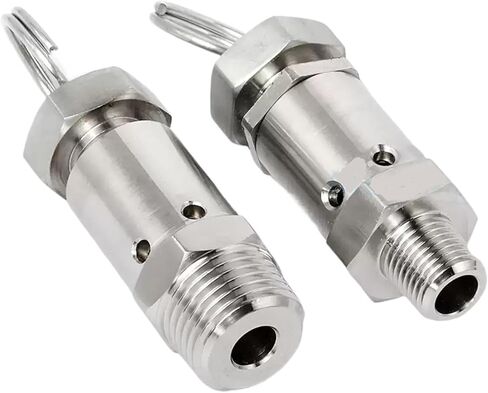 1/4" 1/2" BSP Male 0.5KG 1KG 2KG 8KG 10KG Adjustable 304 Stainless Sanitary Spring Pressure Relief Safety Valve(0.5KG(0.05MPA),1l2 BSP) in Saudi Arabia
