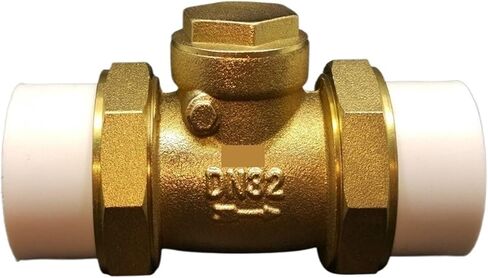 PPR Brass Check Valve DN20 DN25 DN32 DN40 DN50 DN63 One-Way Valve(PPR50) in Saudi Arabia