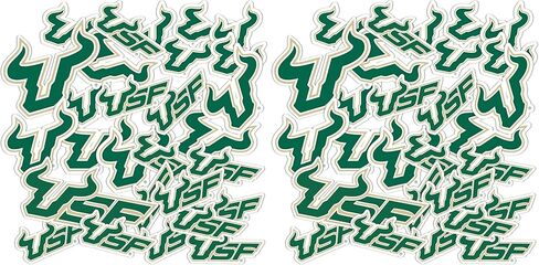 ملصقات ديزرت كاكتوس جامعة جنوب فلوريدا USF بولز شارات الفينيل زجاجة مياه للكمبيوتر المحمول سجل قصاصات السيارة T1 (النوع 1-1) in Saudi Arabia