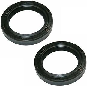 (2 Pack) 805049 805049S Oil Seal Compatible with B-Riggs and S-tratton