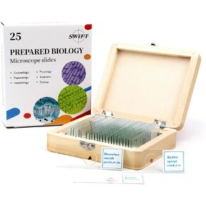 25 PCS Prepared Premade Microscope Slide Set with Specimen for Basic Biological Science Education