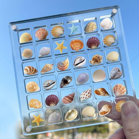 SEAHUISTAR Seashell Display Box Acrylic Magnetic Square Seashell Storage Display Case Decorative Seashell Starfish Trinket Small Craft Organizers Container for Bead Nail Jewelry Gemstone (36 Grids) in Saudi Arabia