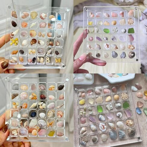 SEAHUISTAR Seashell Display Box Acrylic Magnetic Square Seashell Storage Display Case Decorative Seashell Starfish Trinket Small Craft Organizers Container for Bead Nail Jewelry Gemstone (36 Grids) in Saudi Arabia