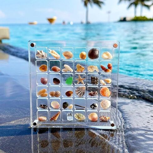 SEAHUISTAR Seashell Display Box Acrylic Magnetic Square Seashell Storage Display Case Decorative Seashell Starfish Trinket Small Craft Organizers Container for Bead Nail Jewelry Gemstone (36 Grids) in Saudi Arabia