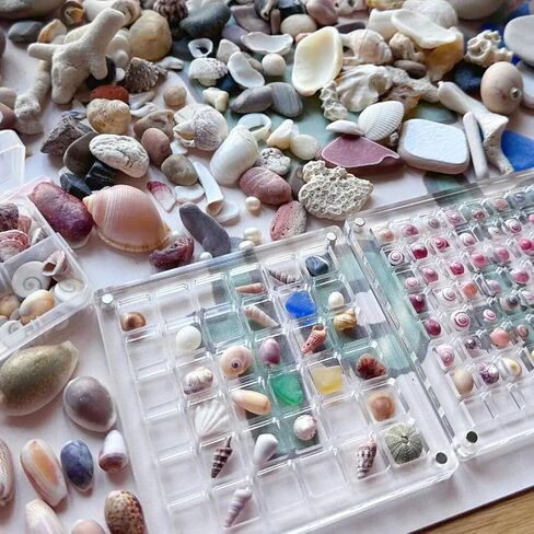 SEAHUISTAR Seashell Display Box Acrylic Magnetic Square Seashell Storage Display Case Decorative Seashell Starfish Trinket Small Craft Organizers Container for Bead Nail Jewelry Gemstone (36 Grids) in Saudi Arabia