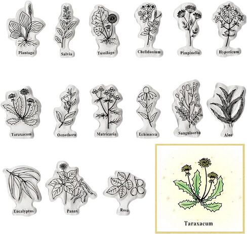 Spring Flowers Leaves Clear Stamps for Card Making and Journaling, Floral Plants Silicone Stamps Spanish Words Rubber Stamps for Scrapbooking DIY Cards Album Crafts Supplies in Saudi Arabia