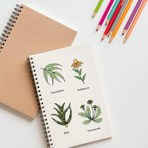 Spring Flowers Leaves Clear Stamps for Card Making and Journaling, Floral Plants Silicone Stamps Spanish Words Rubber Stamps for Scrapbooking DIY Cards Album Crafts Supplies in Saudi Arabia