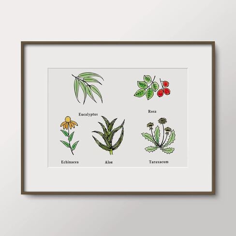 Spring Flowers Leaves Clear Stamps for Card Making and Journaling, Floral Plants Silicone Stamps Spanish Words Rubber Stamps for Scrapbooking DIY Cards Album Crafts Supplies in Saudi Arabia