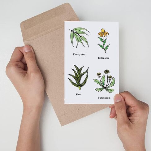 Spring Flowers Leaves Clear Stamps for Card Making and Journaling, Floral Plants Silicone Stamps Spanish Words Rubber Stamps for Scrapbooking DIY Cards Album Crafts Supplies in Saudi Arabia