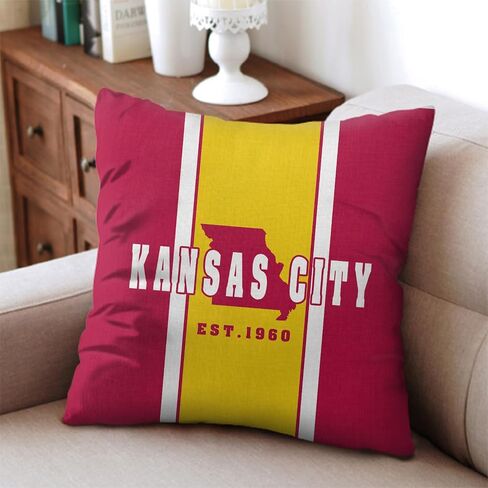 2pcs Detroit City Throw Pillow Covers, Football Pillow Case Decoration for Home Sofa, Football Fan Gifts for Men Women 18 x 18 inch in Saudi Arabia