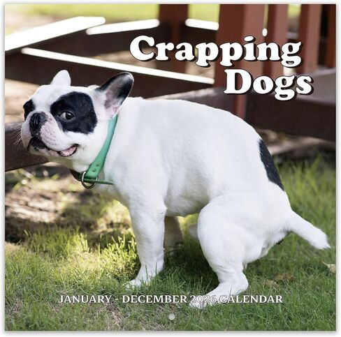 Gag Gifts - 2024 Wall Calendar, White Elephants Pooping Dogs, 2024 Calendar from Jan.2024 to Dec.2024, 12 Monthly Calendar Planner, Wall Calendar 2024, Funny Calendar for Family, Friends in Saudi Arabia