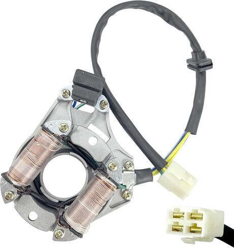 2 لفائف 4 سلك الإشعال كامل موجة الجزء الثابت مغناطيسي ل 50cc 70cc 90cc 110cc 125cc الكهربائية بدء الترابية دراجة الطرق غير الممهدة الذهاب كارت ATV 4 ويلر رباعية in Saudi Arabia