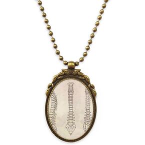 الهيكل العظمي رسم العمود الفقري الإنسان العتيقة قلادة خمر حبة قلادة المفاتيح in Kuwait