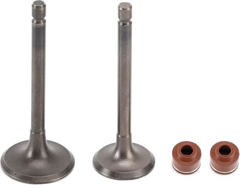 Cylinder Head Intake & Exhaust Valve Kit For Yamaha YBR 125 TT-R 125 XT 125 YFA1 YFM 125 in Saudi Arabia