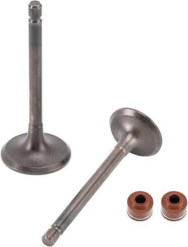 Cylinder Head Intake & Exhaust Valve Kit For Yamaha YBR 125 TT-R 125 XT 125 YFA1 YFM 125 in Saudi Arabia