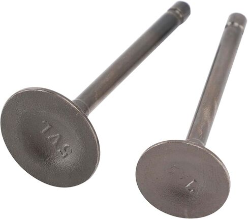Cylinder Head Intake & Exhaust Valve Kit For Yamaha YBR 125 TT-R 125 XT 125 YFA1 YFM 125 in Saudi Arabia