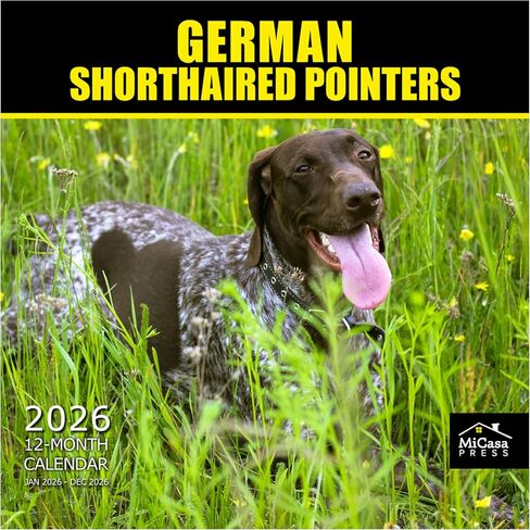 MICASA German Shorthaired Pointers 2023 Hangable Monthly Wall Calendar | 12" x 24" Open | Thick & Sturdy Paper | Giftable | Cute Dog | The Iconic Hunting Dog in Kuwait