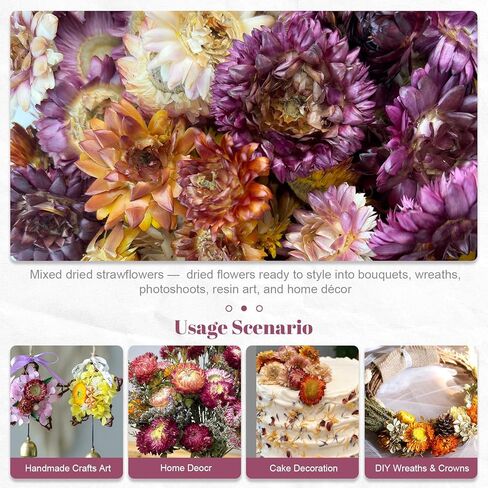 Dried Straw Flower Heads Bulk 230-250 Pcs Mixed Color Natural Dry Flowers for DIY Crafts and Decorations - 3.5 OZ in Kuwait