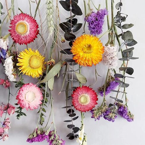 Dried Straw Flower Heads Bulk 230-250 Pcs Mixed Color Natural Dry Flowers for DIY Crafts and Decorations - 3.5 OZ in Kuwait