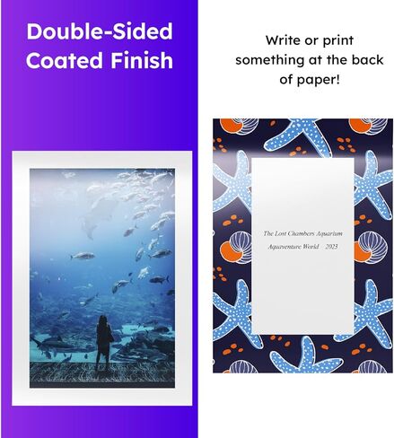 Dull 80lb Text Digital Low Gloss Paper, Double Sided C2S, Coated, Perfect for Color Laser Printing, Design Proposals, Flyers, Brochures | Matte Finish | 11" x 17" | 100 Sheets in Saudi Arabia