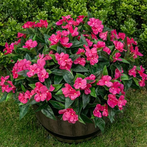 Artificial Fake Flowers for Outdoor Décor 6 Bundles UV Resistant Fake Plants for Planter Faux Impatiens for Home Porch/Garden Stunning（Rose Red） in Saudi Arabia