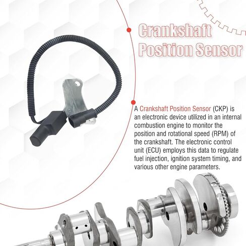 56026701 Crankshaft Position Sensor Compatible with D150 D250 D350 B150 B250 B350 Dakota Ramcharger W150 W250 W350 1990-1993 Grand Cherokee Grand Wagoneer 1993 in Saudi Arabia