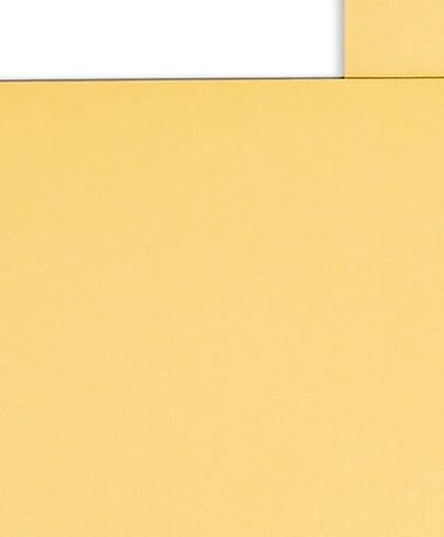 Staples 10 x 13 Gummed Catalog Envelopes, Brown Kraft, Heavy‑Duty Mailers with Strong Adhesive Flap, Ideal for Documents & Photos, 250/Box in Saudi Arabia